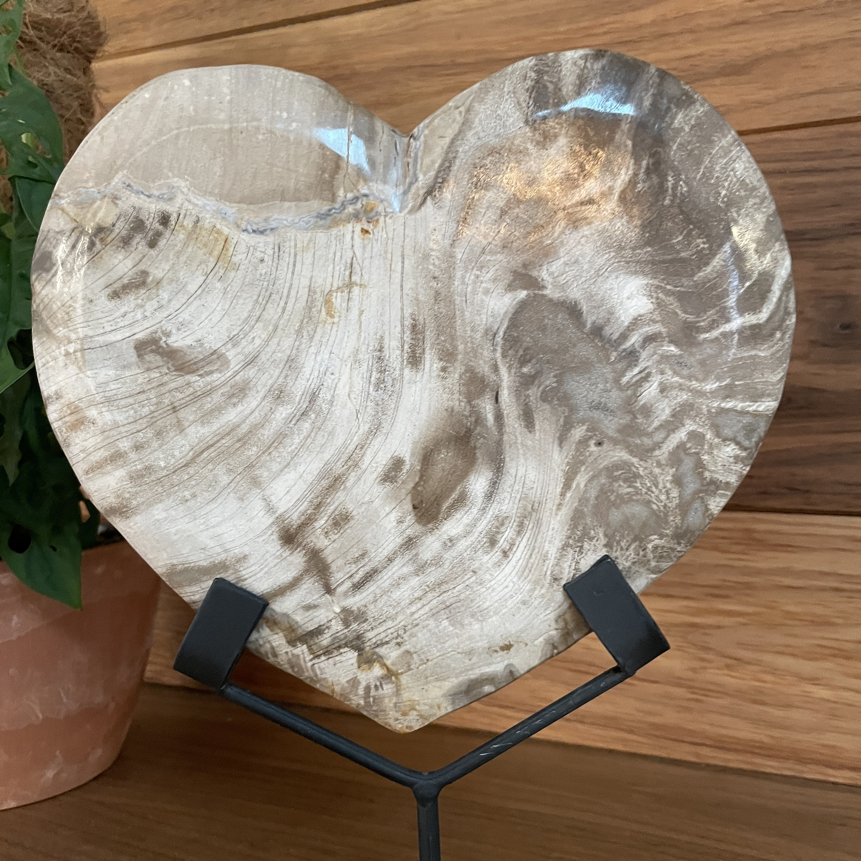 Vintage ＊ petrified wood tray Vintage ＊ petrified wood tray 【公式通販】