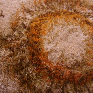 May include: A close-up of a brown and beige shag rug with a circular pattern. The rug has a soft, fluffy texture.