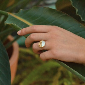 Gold-plated and white mother-of-pearl plant ring - Palm circle