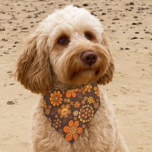 Può includere: Un cane di colore chiaro con un bandana marrone con un motivo floreale retrò nei toni dell'arancione, giallo e bianco. Il cane ha occhi marroni e un naso marrone. Lo sfondo è una spiaggia sabbiosa.