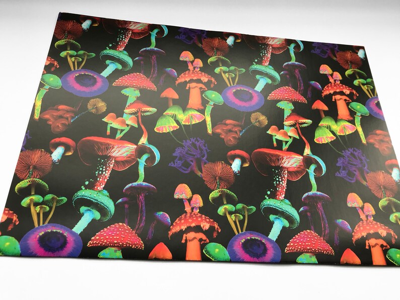Puede incluir: Una hoja de papel con un vibrante patr&oacute;n de hongos psicod&eacute;licos. El dise&ntilde;o presenta una variedad de coloridos hongos en tonos de rojo, naranja, verde, azul y morado sobre un fondo negro. Los hongos var&iacute;an en tama&ntilde;o y forma.