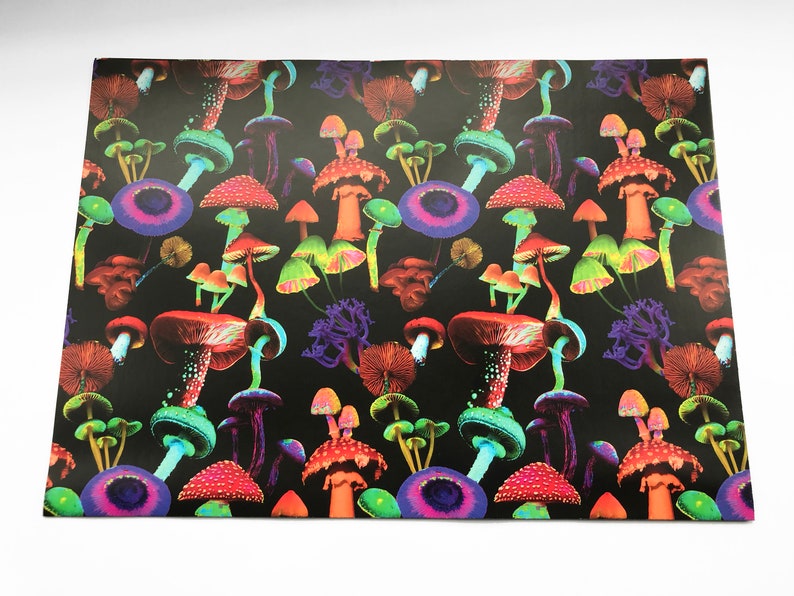 Puede incluir: Un fondo negro est&aacute; cubierto con un patr&oacute;n colorido de varias setas. Las setas son en tonos de rojo, naranja, verde, azul y morado. La imagen es una vista superior.
