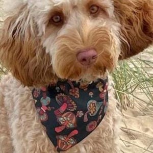 Mushroom Dog Bandana, Pet Fashion, Dog Neckwear. image 2