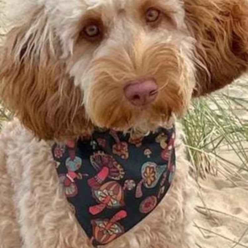 Mushroom Dog Bandana, Pet Fashion, Dog Neckwear. image 2
