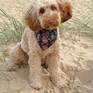 May include: A light brown dog with a black bandana with a colorful pattern sits on a sandy beach with green grass.