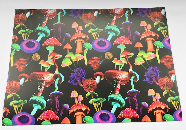 Puede incluir: Un fondo negro est&aacute; cubierto con un patr&oacute;n colorido de varias setas. Las setas son de color rojo, naranja, verde, azul y morado. Algunas tienen manchas blancas y otras tienen sombreros texturizados.