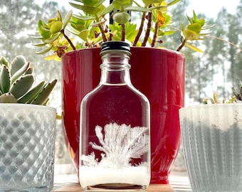 Storm Glass Weather Predictor | Unique Nautical Birthday Day, Christmas, Holiday, Groomsmen Gift | Science Fans, Weather Glass Barometer
