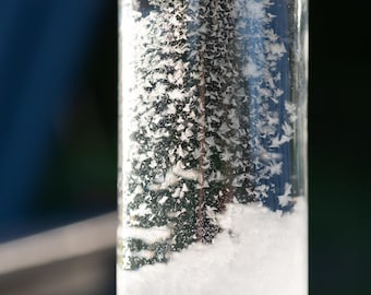 Storm Glass Weather Predictor | Tall Round Glass