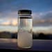 see more listings in the Storm Glass Instrument section