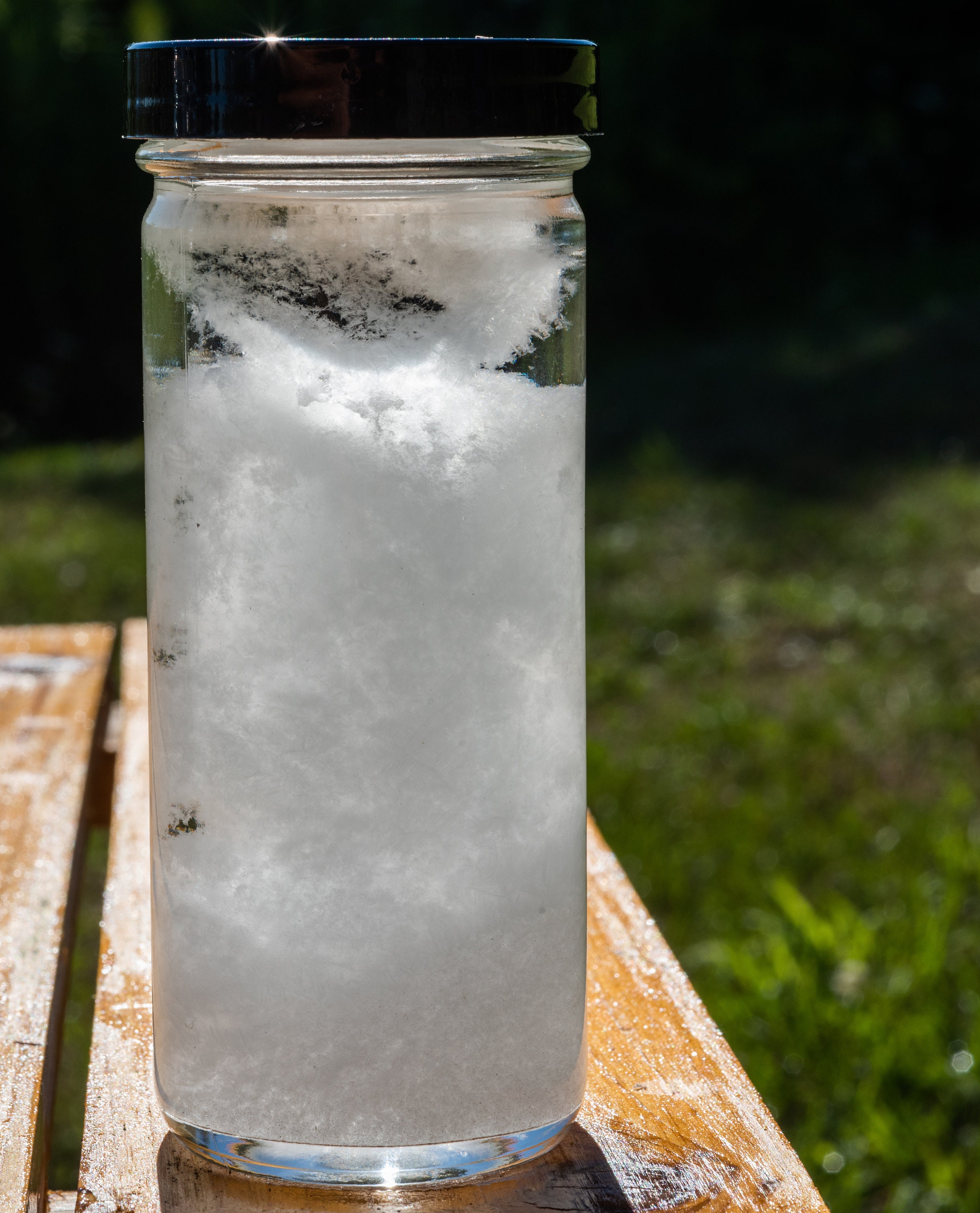 Storm Glass Barometer Weather Forming Crystals Barometer, Tall Round