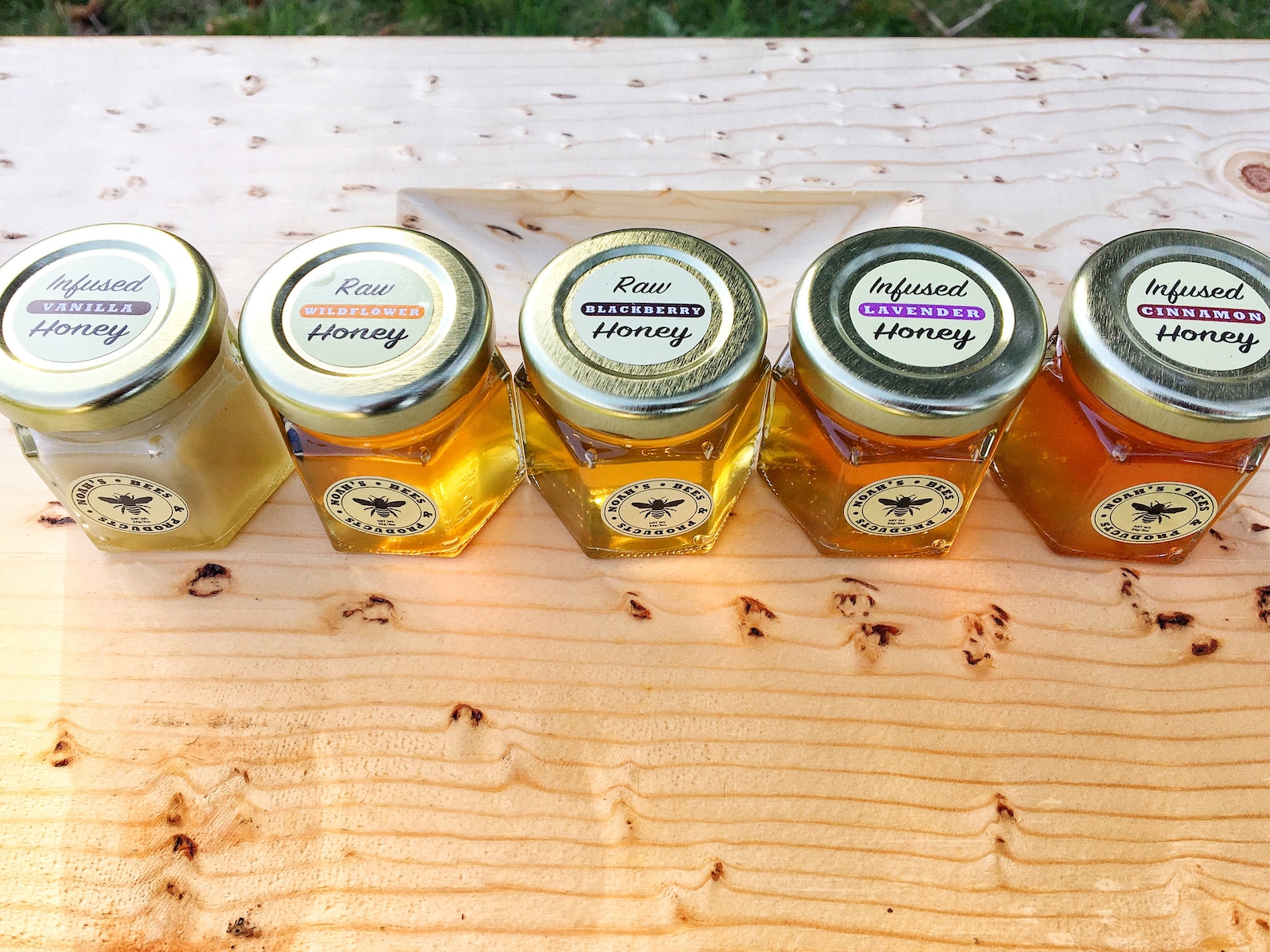 Honey Sampler Pack of Oregon's Finest Honey. 6 2oz Jars. Etsy
