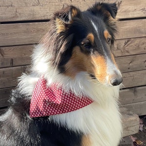 Custom Pet Bandana: Red Floral Dog Cat Scarf, Personalized