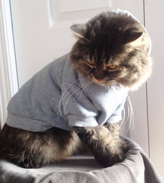 custom cat apparel