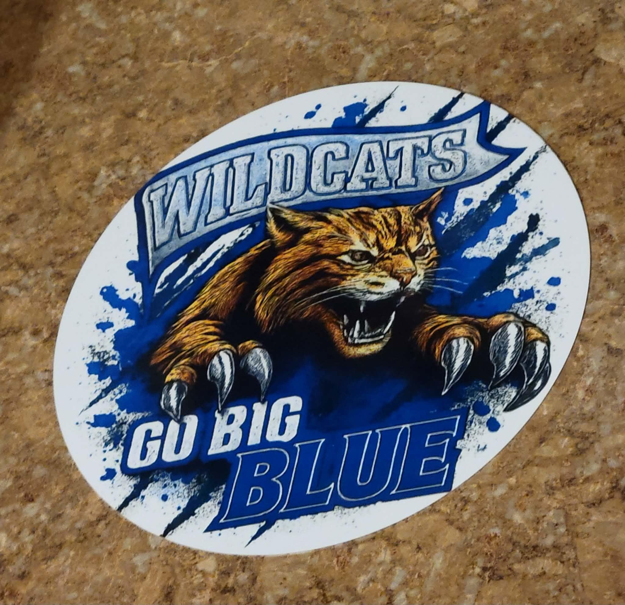 Sign Writing Pouncing Wildcat Pouncing Round Aluminum Sign - Etsy