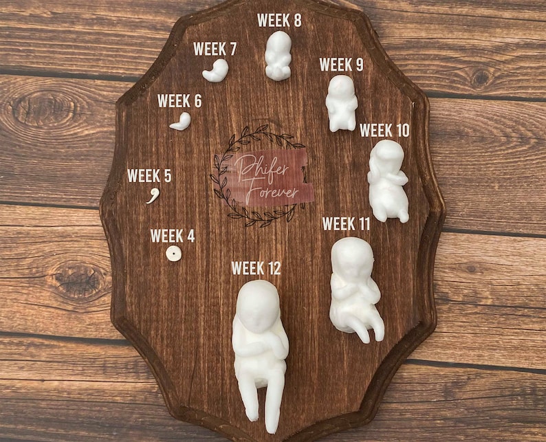 Miscarriage By Week miscarriage-by-week