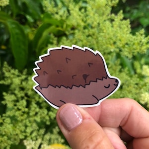 Hedgehog Sticker