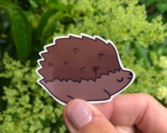 Hedgehog Sticker