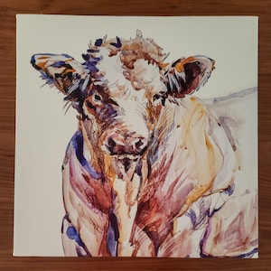 White Cow Canvas Print