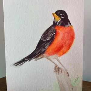 Robin - carte de voeux toutes occasions, impression aquarelle, blanc à l'intérieur