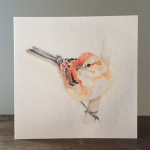 Moineau - carte de voeux toutes occasions, impression aquarelle, blanc à l'intérieur