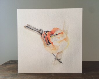 Karte (Spatz) für alle Anlässe, Aquarell Druck, leere Innenseite