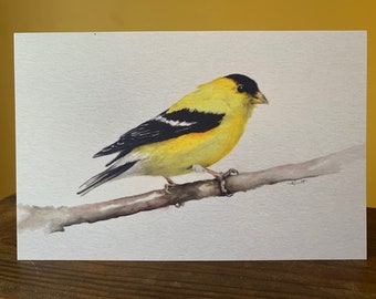 Goldfinch - All Anlässe Grußkarte, Aquarell Druck, leere Innenseite