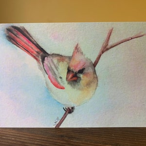 Cardinal féminin - carte de voeux toutes occasions, impression aquarelle, blanc à l'intérieur