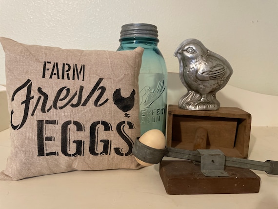 Canvas Farm Fresh eggs pillow, Chicken decor, Farm themed decor, Farm to table, Chicken pillow, Farmhouse decor, Farmhouse pillow