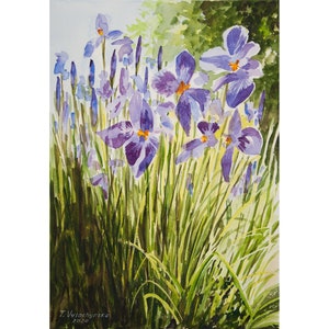 Acuarela original de iris: arte floral paisajístico (35,5 x 25,4 cm)