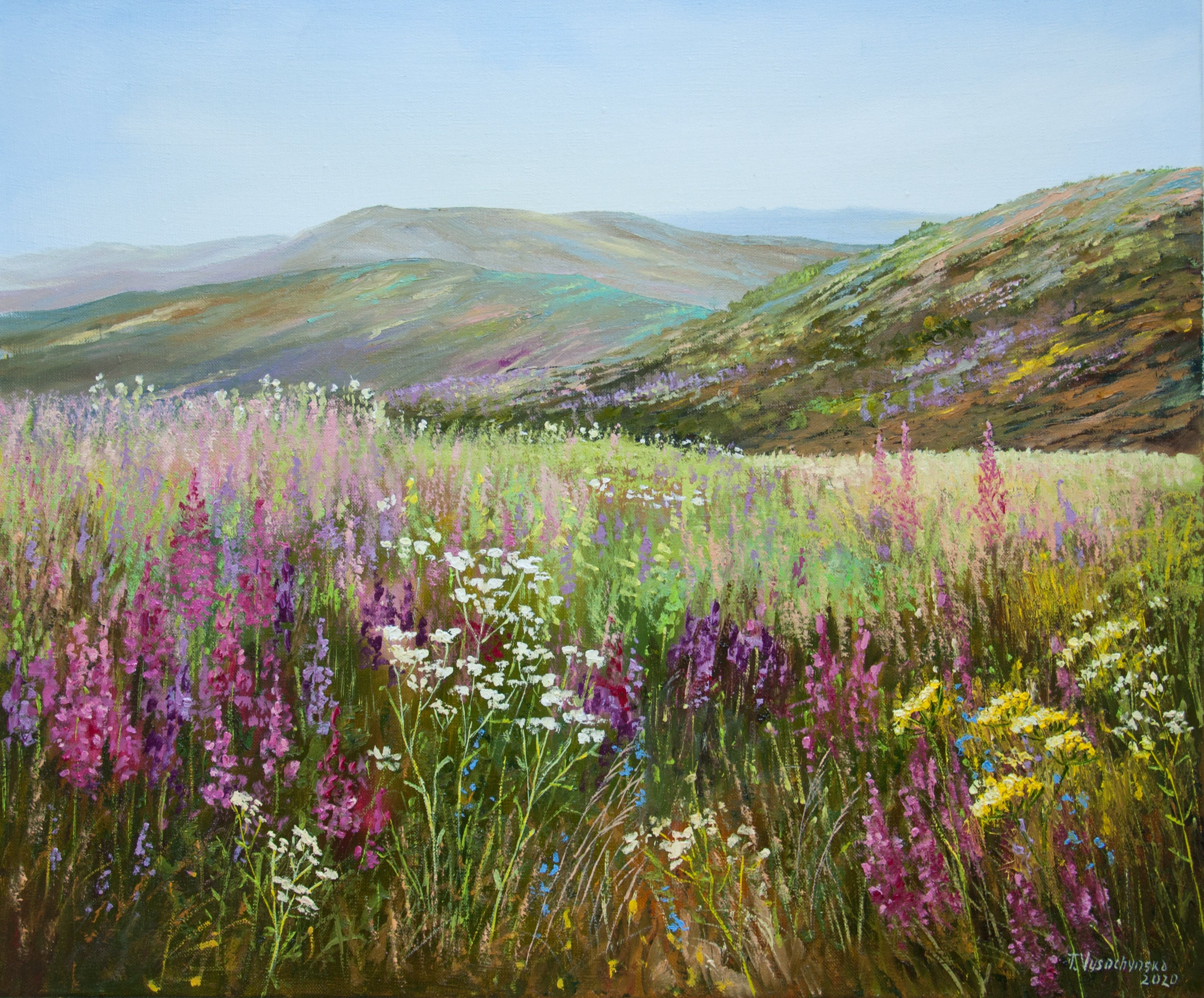 Flower Valley Oil Painting Original Art Scotland Landscape Floral Field  Blooming Meadows Wild Flowers Nature Artwork on Canvas 24 X 28 In - Etsy  Norway