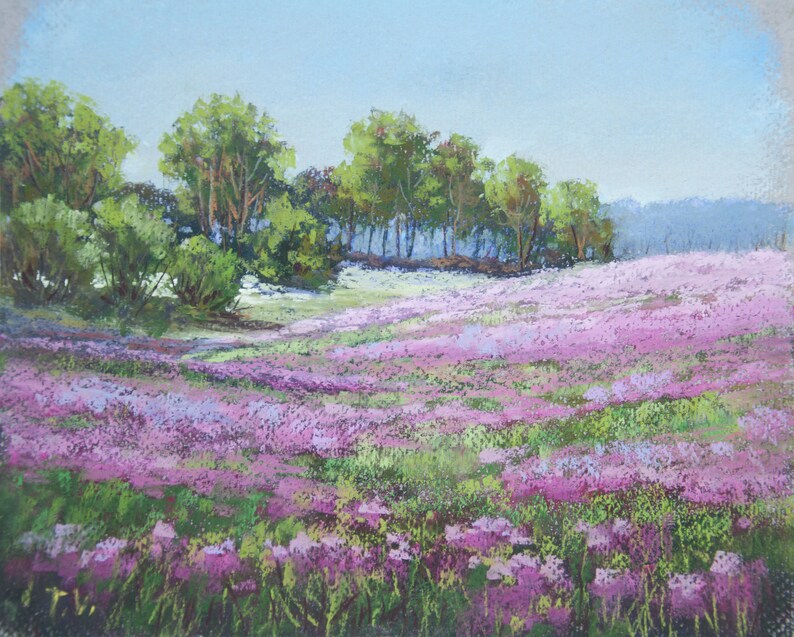 Spring Floral Fields Painting Original Pastel Art Flower Landsca