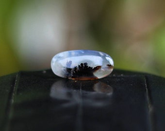 dendritic quartz Dendritic agate 105cts Most Rare Dendritic quartz beautiful gemstone 52x43x4 mm