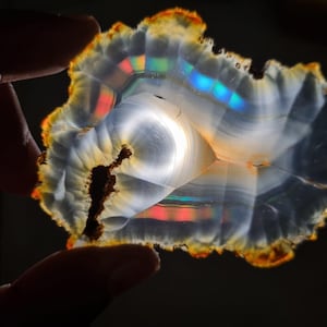 May include: A translucent, polished gemstone slice with a white and gray interior, exhibiting iridescent rainbow colors. The outer edge is a mix of orange and brown. The stone is held by a hand, showcasing its natural beauty and unique patterns.