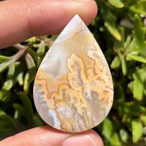 Könnte beinhalten: Ein tropfenförmiger, polierter Edelstein mit einem wirbelnden Muster aus Beige, Weiß und Hellbraun. Der Stein wird vor grünem Laub gehalten, was seine natürliche Schönheit und sein komplexes Design hervorhebt, ideal für Schmuck.