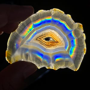 May include: A translucent agate slice with concentric bands of white and amber, backlit to reveal a vibrant rainbow spectrum of light refraction. The mineral specimen features a central crystalline cavity and irregular, jagged outer edges.