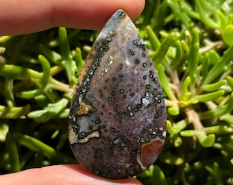 May include: A teardrop-shaped gemstone with a unique pattern of dark purple, brown, and white spots and veins. The polished stone is held against a backdrop of green foliage, highlighting its natural beauty and intricate details. A unique piece for jewelry making.