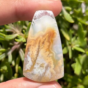 Könnte beinhalten: Ein polierter, tropfenförmiger Edelstein mit einem einzigartigen Muster. Der Stein weist wirbelnde Schichten aus weißen, cremefarbenen und goldbraunen Farbtönen auf. Der obere Rand ist durchscheinend weiß, und die Gesamtform ist glatt und elegant.