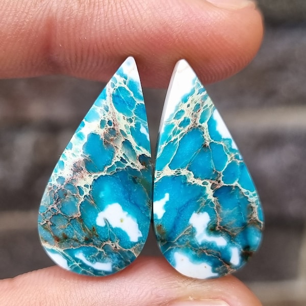 Stunning Sea Sediment Jasper Pair - Earring Set of Sea Sediment Jasper