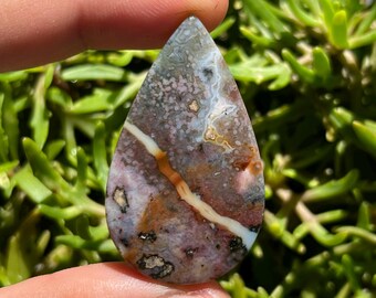 May include: A teardrop-shaped gemstone with a unique pattern of colors. The stone features a mix of purple, gray, white, and brown hues, with a prominent white and brown vein running through the center. The stone is held between two fingers against a backdrop of green foliage.