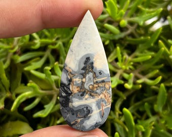 Spectacular Picture Maligano sakura Jasper Cabochon - Maligano Jasper Scenery