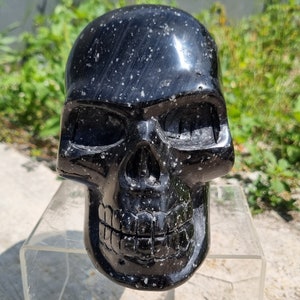 Può includere: Teschio in ossidiana nera con macchie bianche, scolpito in dettaglio, con una finitura liscia e lucida.