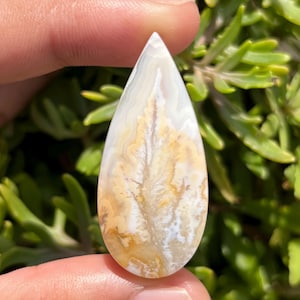 Könnte beinhalten: Ein tropfenförmiger Edelstein mit einem weißen, cremefarbenen und goldgelben Muster, das einer Feder oder einem Blatt ähnelt. Der polierte Stein wird zwischen den Fingern gehalten, mit grünem Laub im Hintergrund. Die Oberfläche des Steins hat ein natürliches, organisches Aussehen.