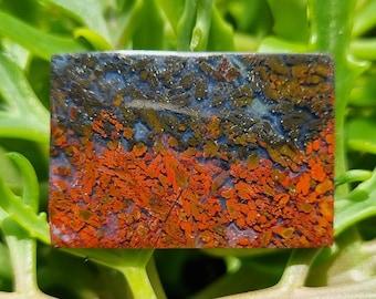 Plume Agate in Marcasite Stone - Plume Opalized Petrified Wood Cabochon