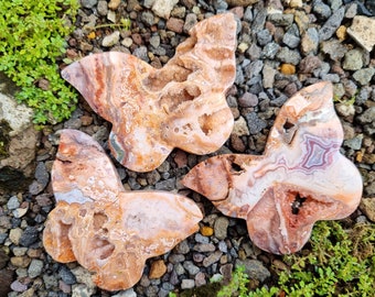 Crazy Lace Agate Butterfly Palmstone z druzą - Unikalna rzeźba motyla z Crazy Lace Agate Druzy