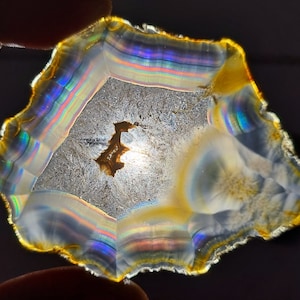 May include: A slice of agate with a rainbow iridescence. The agate is translucent and has a white, gray, and yellow color scheme. The agate is irregularly shaped and has a rough edge.