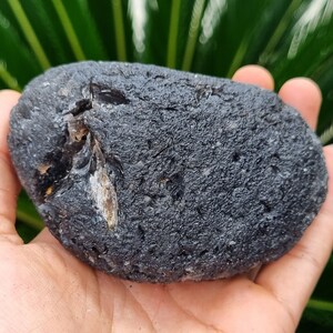 Pode incluir: Uma rocha ovalada de cor cinza escura, lisa, com uma veia cinza clara que a atravessa.