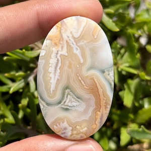 May include: An oval-shaped gemstone with a unique pattern of swirling beige, white, and light green colors. The polished surface of the stone displays a natural, layered design, resembling a miniature landscape. The gemstone is held by a hand, with a green leafy background.