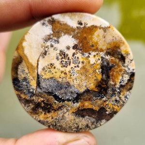 Javanese Klawing Jasper: Scenery Stone from Central Java (45x45x7mm)