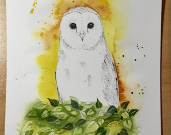 original artwork white barn owl drawing, watercolor painting background, owl sitting on green leaves, pencil sketch colored with watercolors