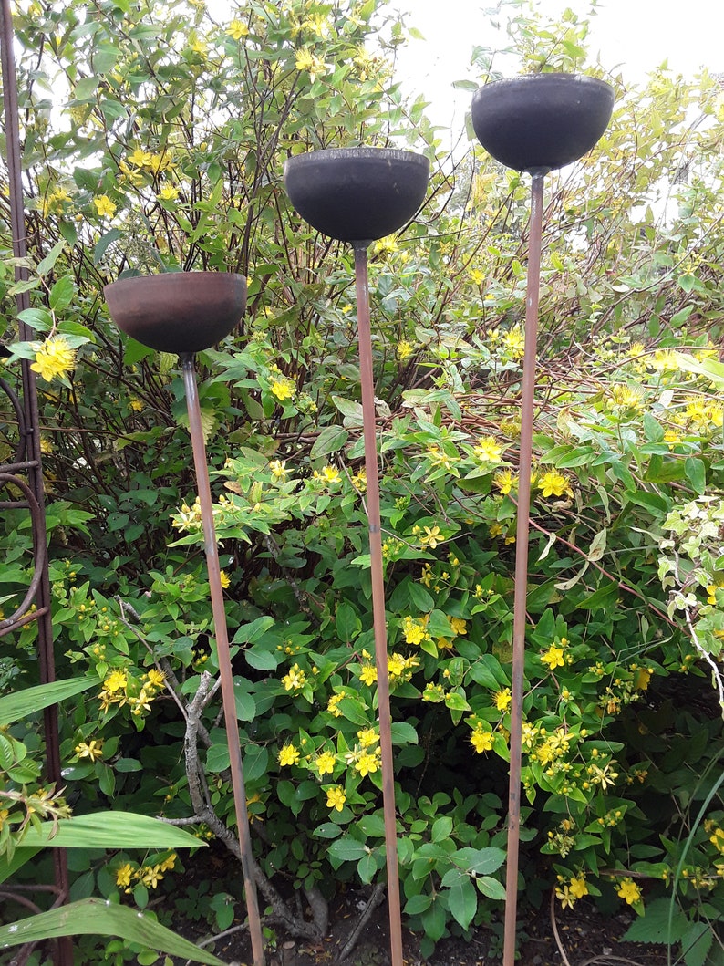 Set of 3 cups, plant stakes/supports/rain catchers/bird feeder image 3